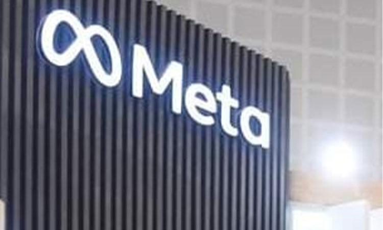 Meta-Company