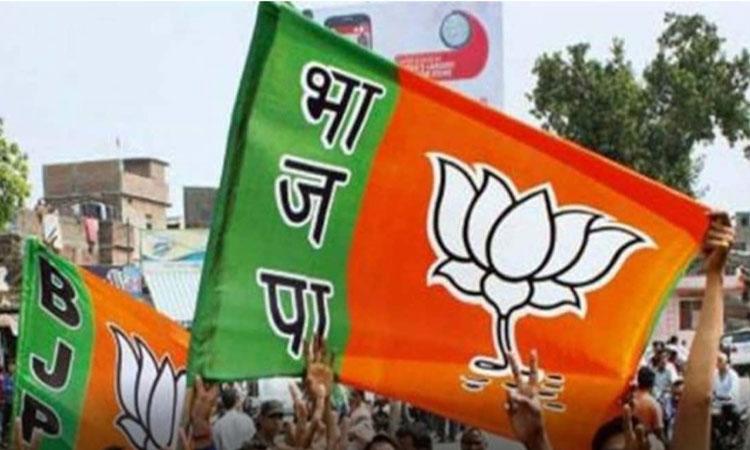 Bjp-Flag