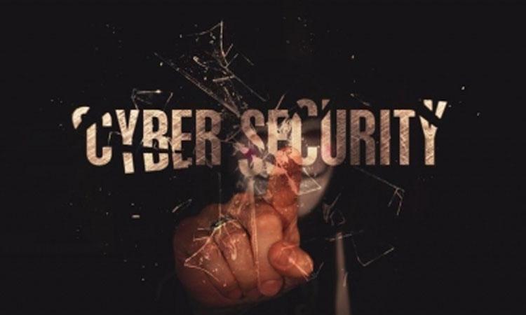 Global-cybersecurity-grows