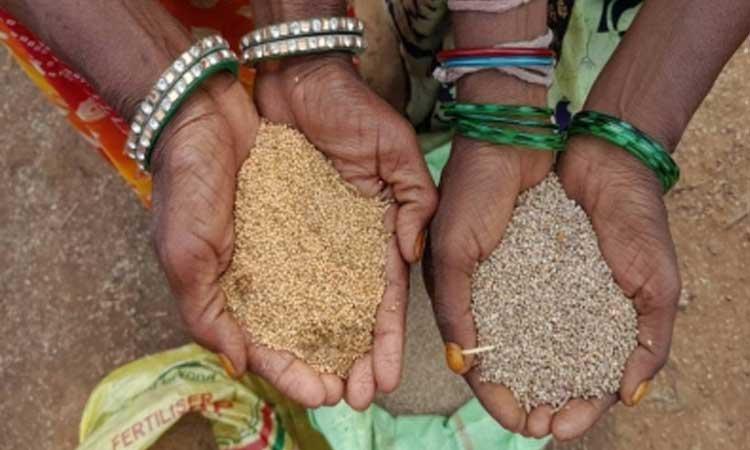India-top-producer-of-millets
