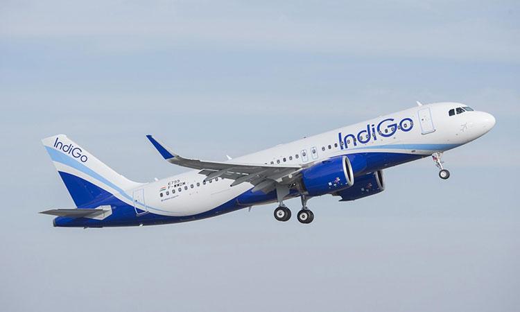 Indigo-Airline