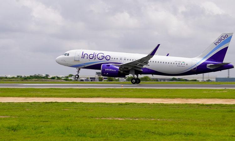 IndiGo-Airline