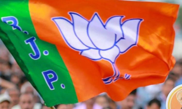 BJP-party-flag
