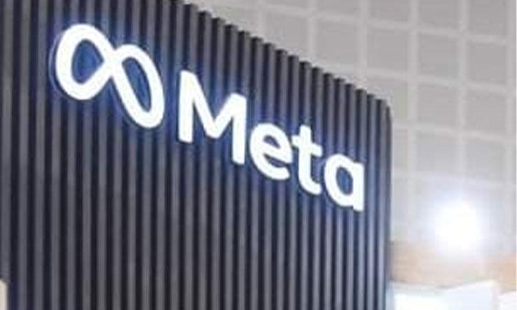Meta-Company