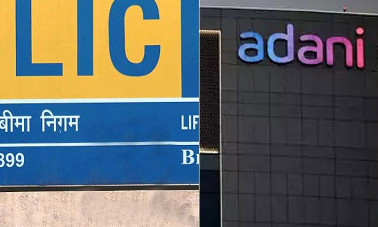 LIC-and-Adani-Group