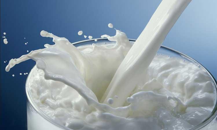 Milk