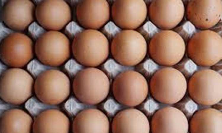 Eggs