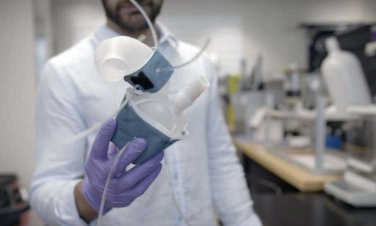 MIT's-custom-3D-printed-heart-replicas-look,-pump-like-real-one