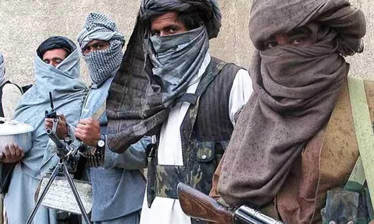 Pakistan-Taliban-vows-to-step-up-war-for-free-homeland