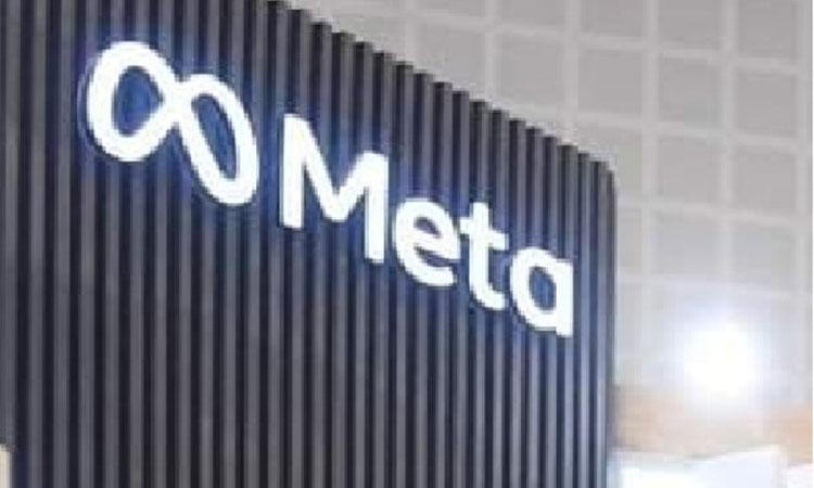 Meta-Company