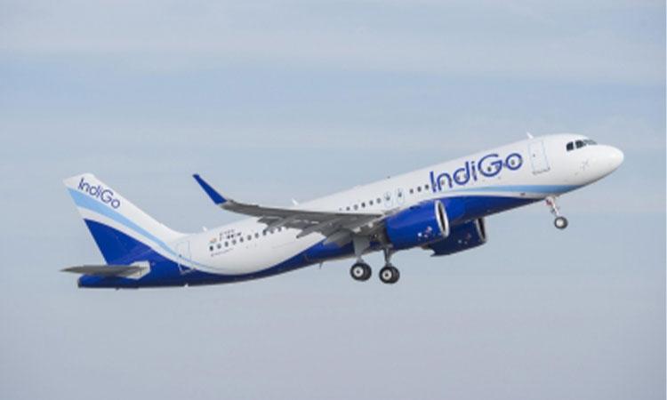 IndiGo-flight