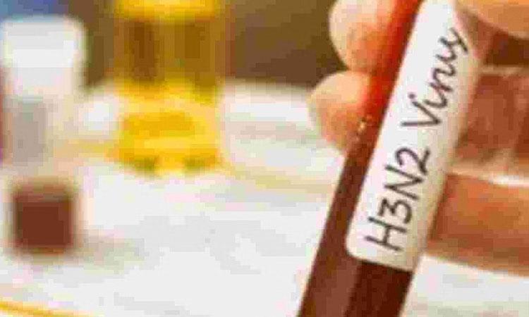 H3N2-virus