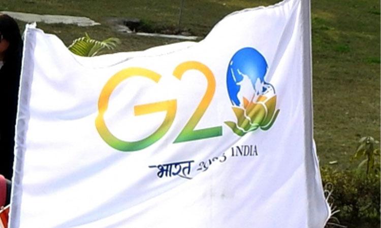 G20-Presidency