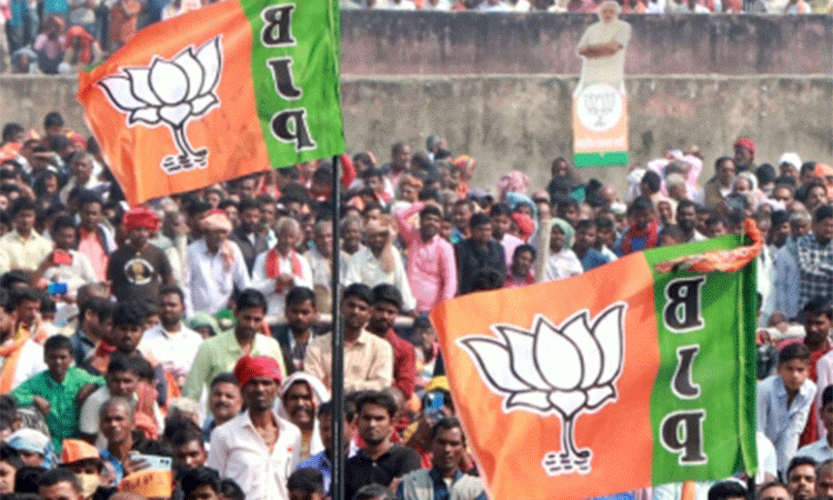 BJP-flags
