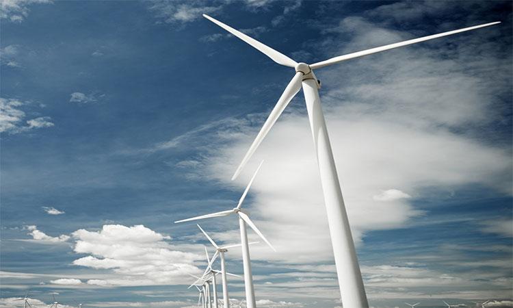 Wind industry can expect record installations by 2025: Report