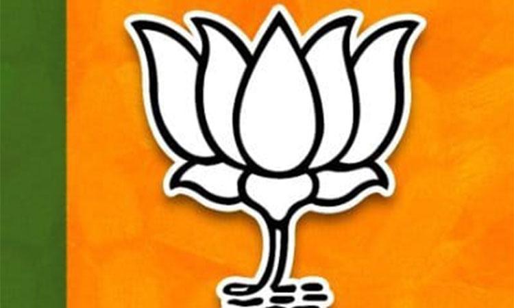 BJP-Party