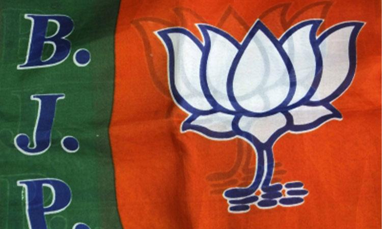 BJP-Party