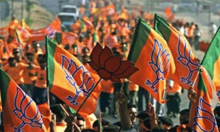 BJP-flags