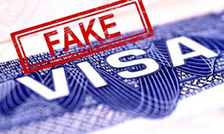 fake-visas