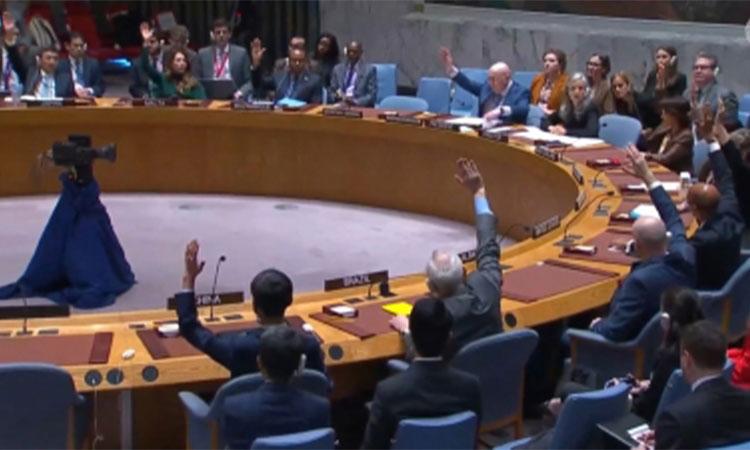 United-Nations-Security--Council