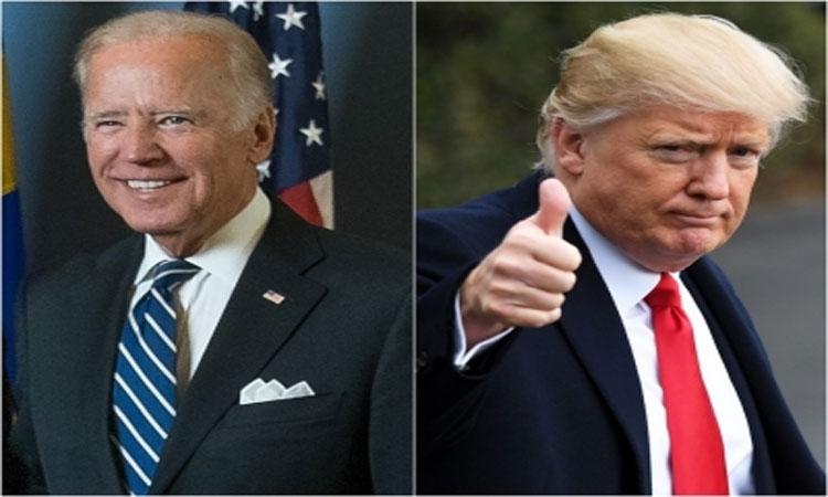 2024-polls-Trump-Biden