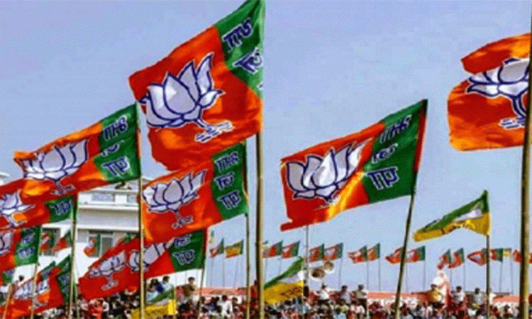 UP-local-polls
