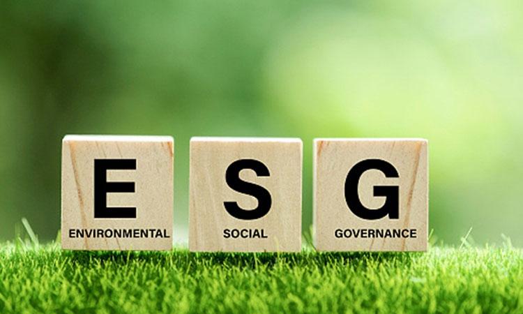 Environmental-social-governance