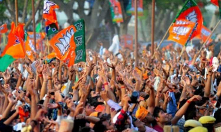 BJP-Flags