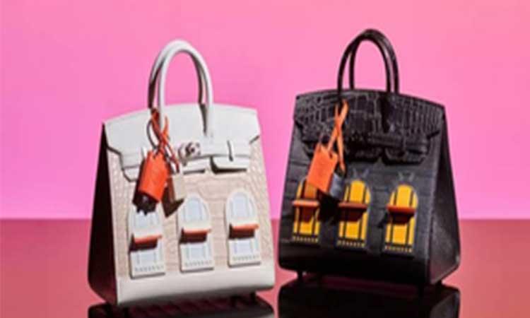Limited Edition Birkin Faubourg Sellier 20 in Veau Madame, Matte