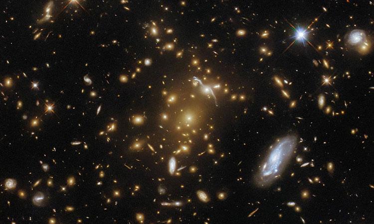 Galaxy-Cluster