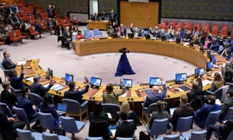 UN-Security-Council-(UNSC)
