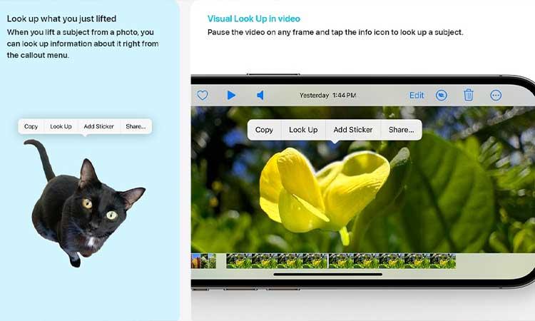Apple-iOS-17-offers-new-'Look-up'-option-in-image-cutout-feature