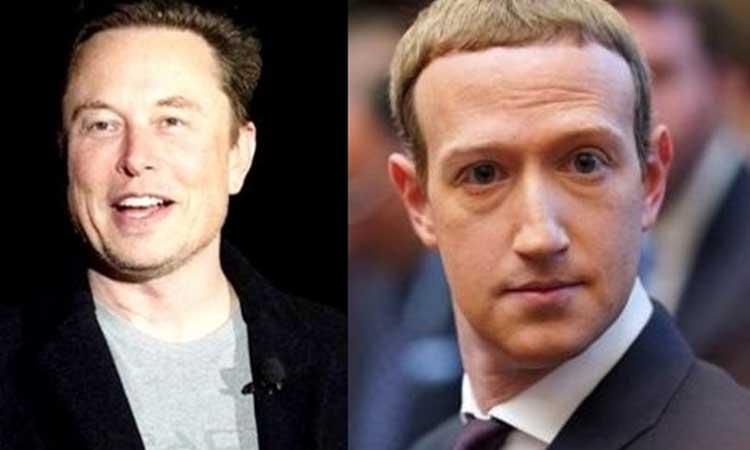 Musk-Zuckerberg