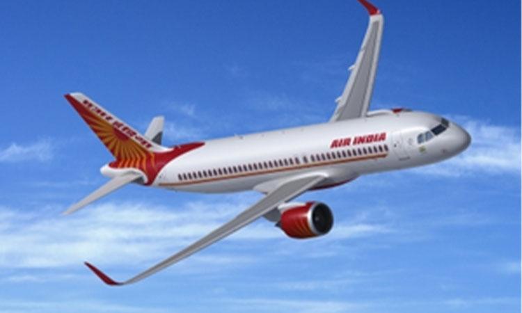 Passenger-held-for-defecating-urinating-on-AI-flight-released-on-bail