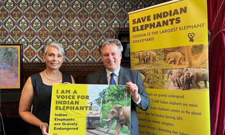 Indo-Canadian-biologist-takes-up-cudgels-for-Indian-elephants-in-UK-Parliament