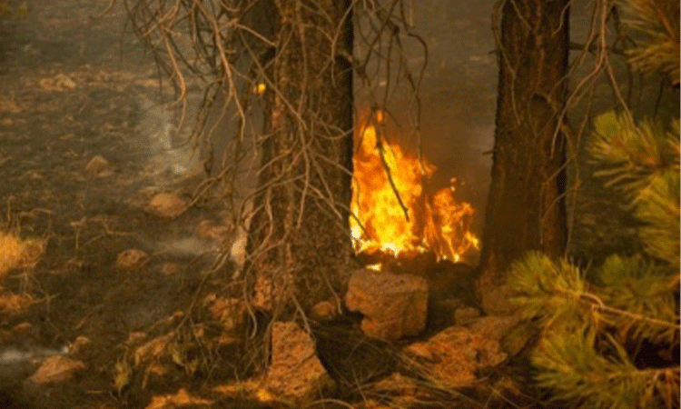 Arizona-issues-red flag-wildfire-warning