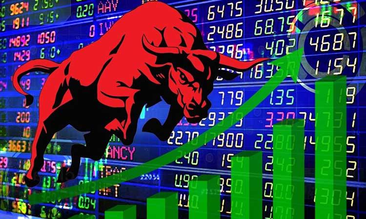 Share-Market