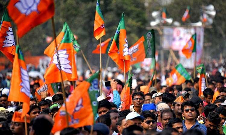 BJP-flags