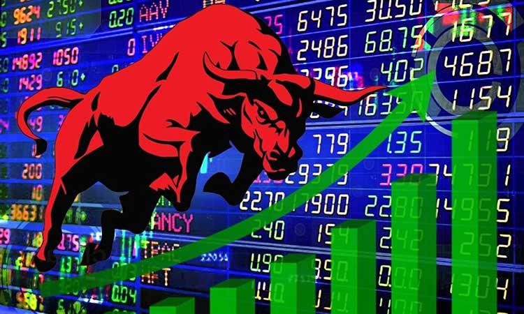 Share-Market