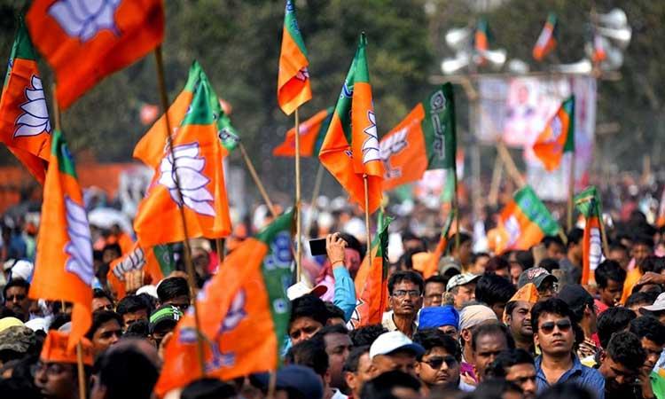BJP-Flags