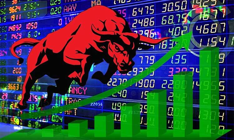 Share-Market