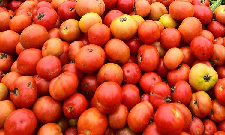 Centre-directs-NAFED-NCCF-to-sell-tomatoes-at-Rs-50-per-kg