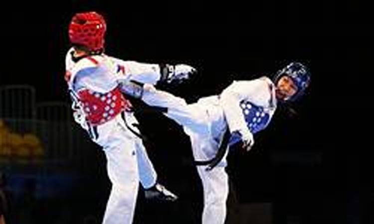 Taekwondo-Premier-League-Second-division-weight-category-competition-to-be-held-in-December
