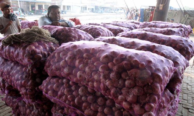 Govt-imposes-40-duty-on-onion-export