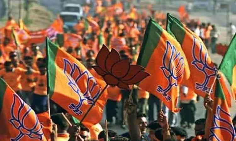 BJP-Flags