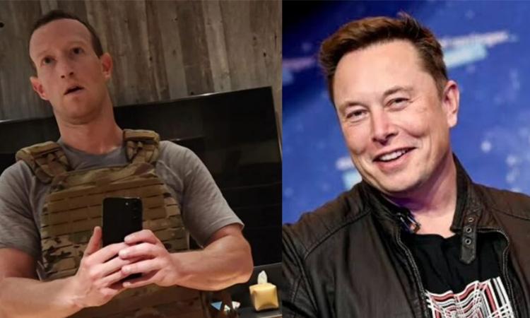 MMA-fighters-offer-to-train-Musk-for-cage-fight-as-they-don't-like-Zuckerberg