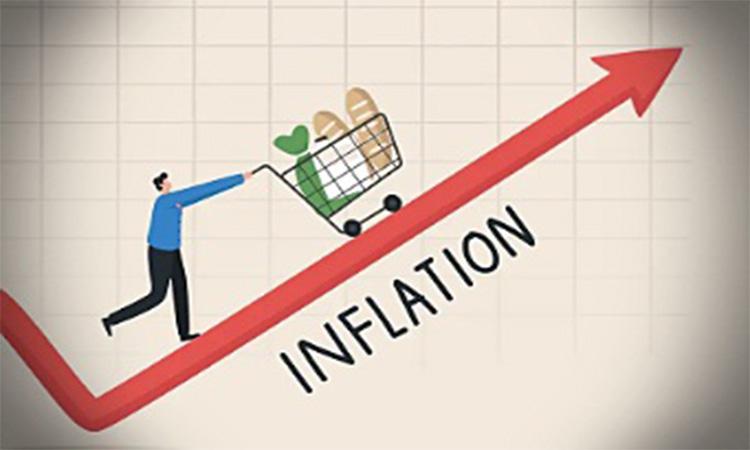 High-inflation-can-be-political-hot-potato-in-election-year-forcing-govt-to-slow-down-capex