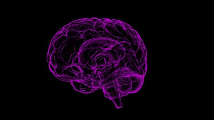Indianorigin-scientists-identify-11-risk-factors-for-developing-dementia
