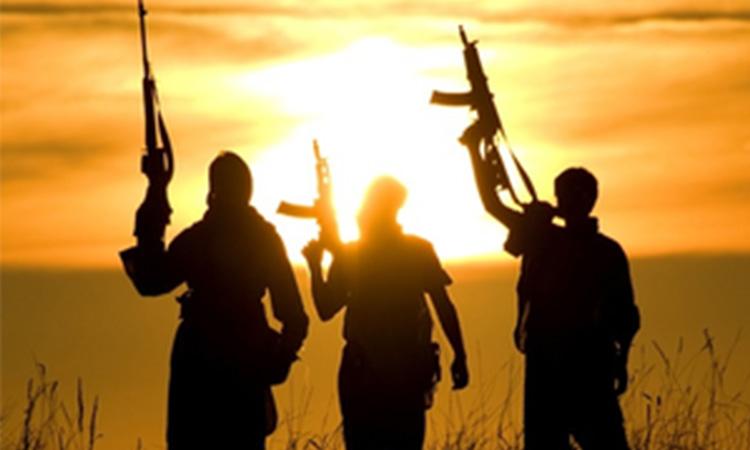 Terrorist