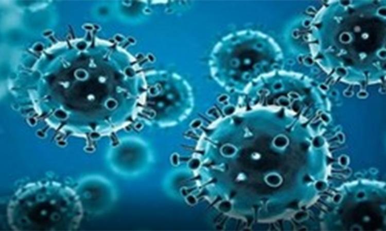 Covid-Virus